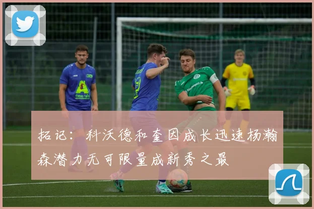 拓记：科沃德和奎因成长迅速杨瀚森潜力无可限量成新秀之最