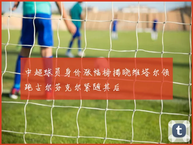 中超球员身价涨幅榜揭晓维塔尔领跑古尔芬克尔紧随其后