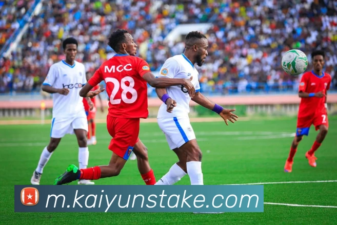 App Interface Preview