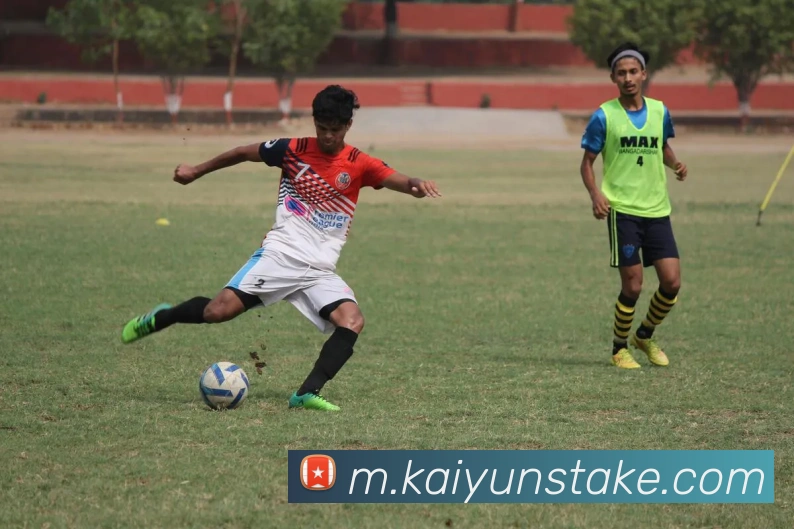 开云体育APP 封面图